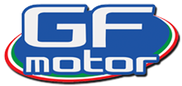 GF Motor 500